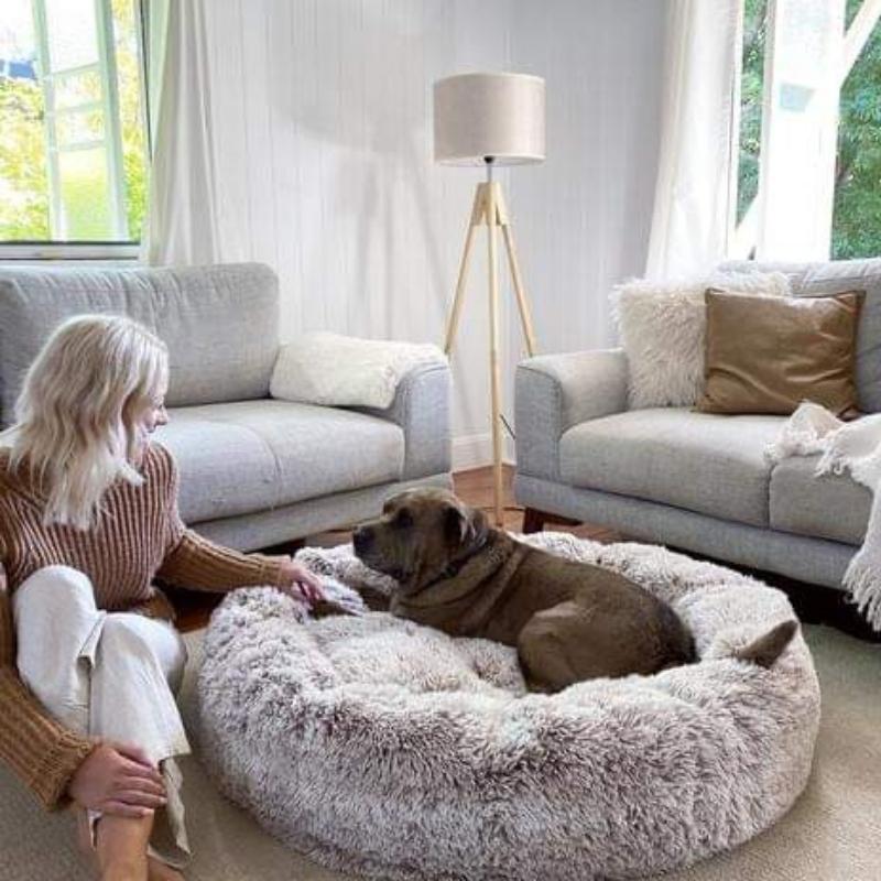 Coussin Anti-Stress Pour Chien