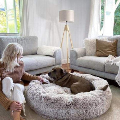 Coussin Anti-Stress Pour Chien